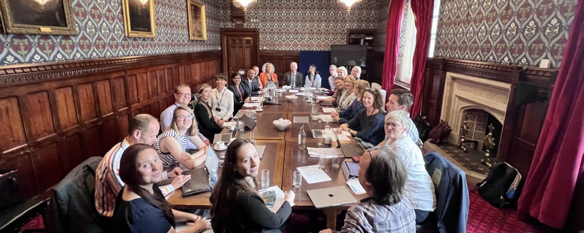 Parliamentary roundtable on generative AI and education group shot