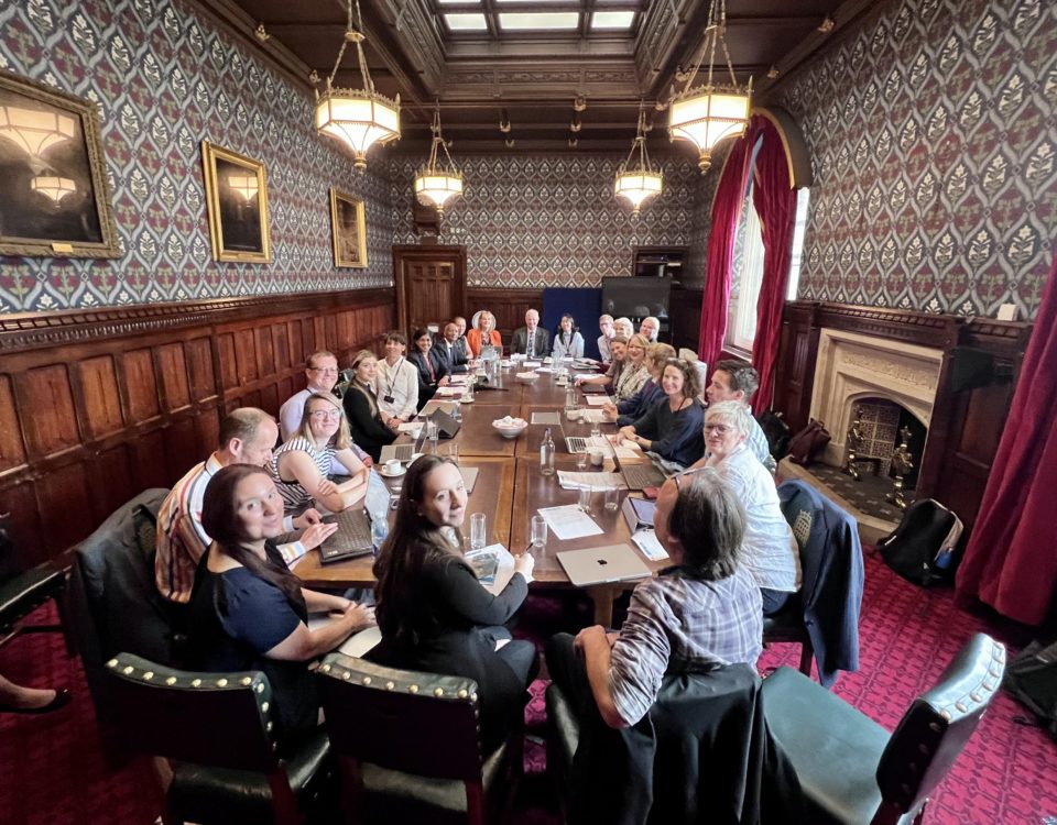 Parliamentary roundtable on generative AI and education group shot